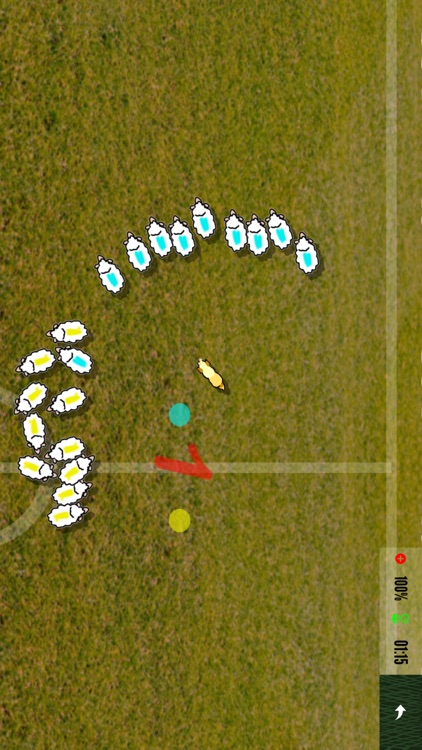 Sheep dog Championship FULL screenshot-4