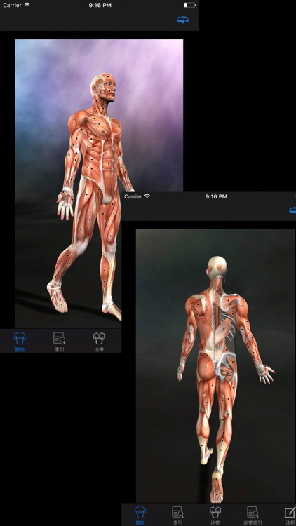 筋のトリガーポイント:ガイド＆リファレンス screenshot-0