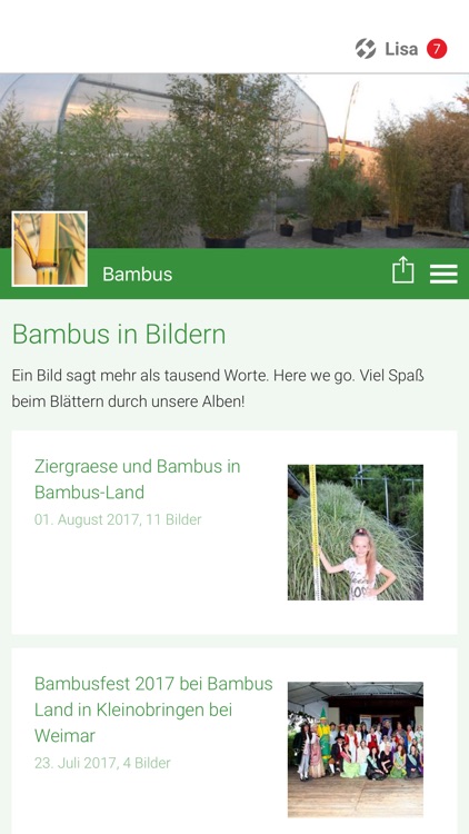 Bambus