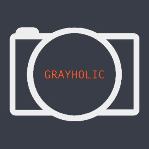 GRAYHOLIC - Camera icon