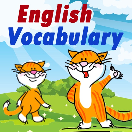 Basic English Grammar Book for Adjectives Words iOS App