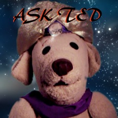 Activities of Ask Ted E