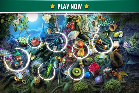 Hidden Object Mystery Garden screenshot 3