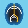 Get Neuro Localizer for iOS, iPhone, iPad Aso Report