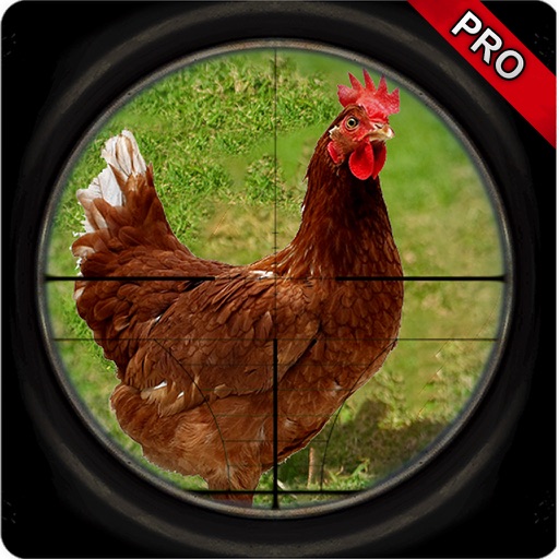 Chicken Hunt Sniper shoot Pro Icon