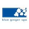 Blue Ginger Spa