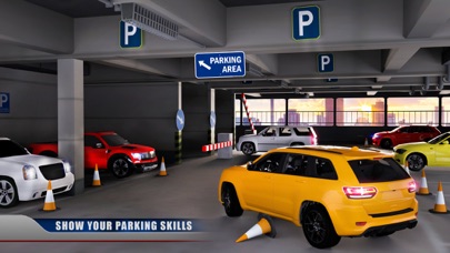 Prado Car Parking Madness Fury 1.0 IOS -