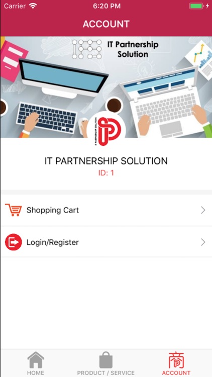 IT Partnership Solution