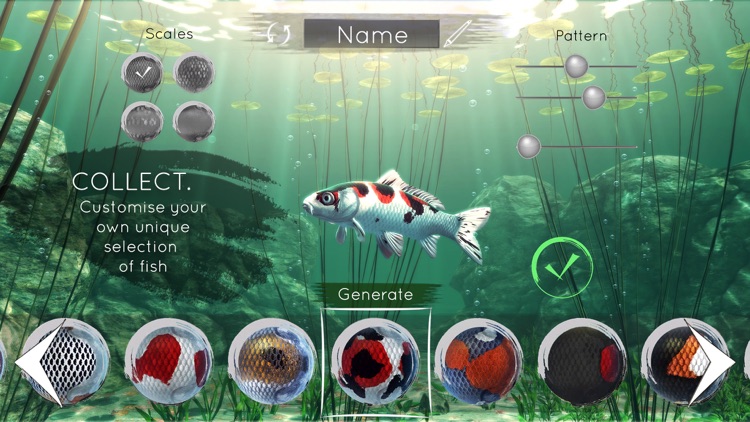 My Koi