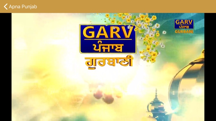 Apna Punjab TV screenshot-4
