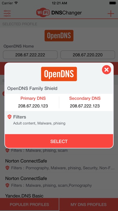 WiFi DNS Changer - VPN screenshot 2