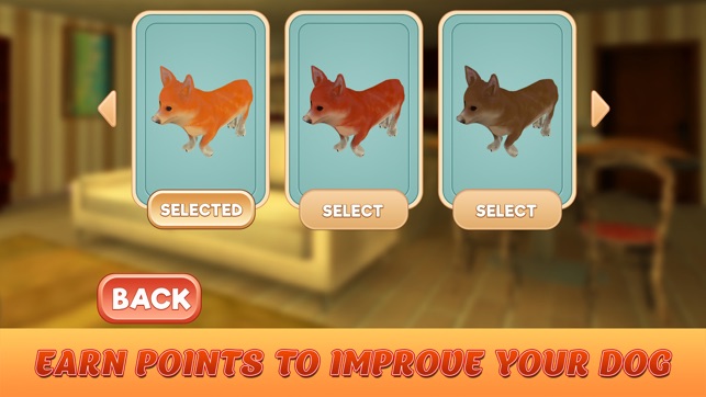 Corgi Stray Dog Simulator(圖4)-速報App