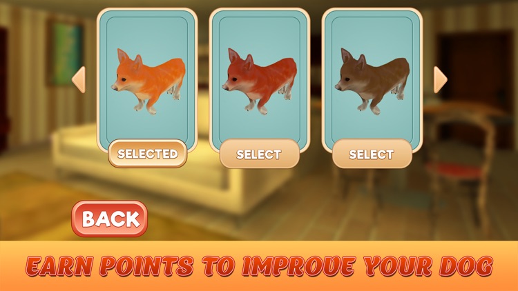 Corgi Stray Dog Simulator screenshot-3