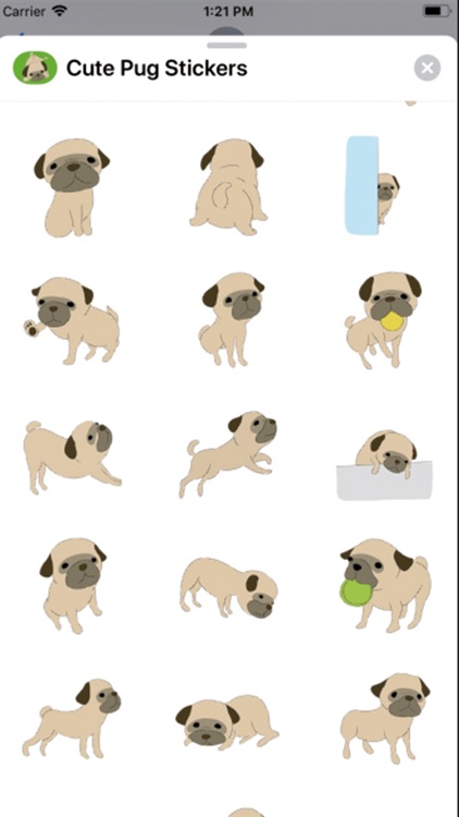 Cute Pug Stickers ！