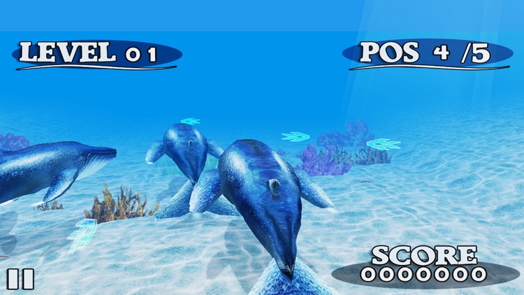 Fish Race Version screenshot-4