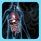 Get 3D like visual insights into 200+ Human Body Organ Parts with over 500,000 text characters of detailed information