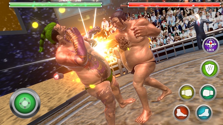 Real Sumo Fighting 2017 screenshot-3