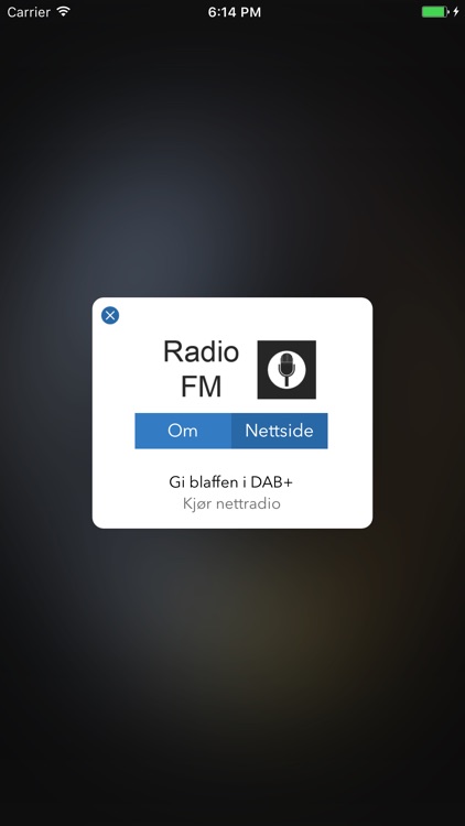 Radio FM screenshot-3