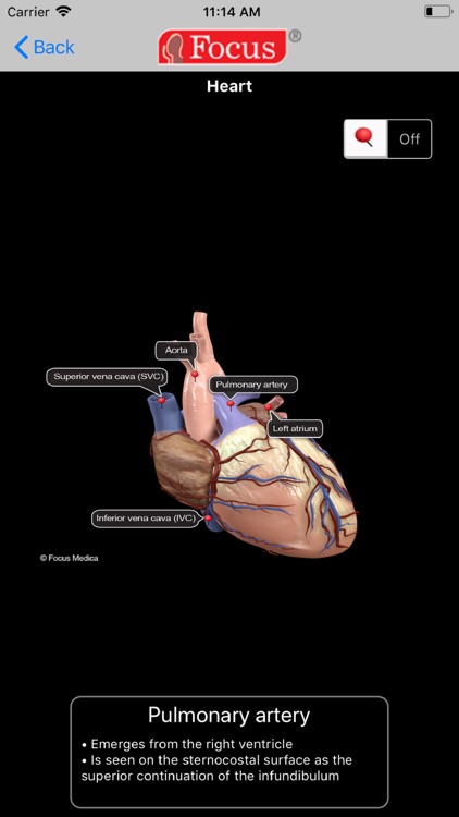 HEART -  Digital Anatomy screenshot-3