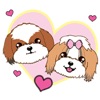 Shih Tzu Dog Couple Sticker