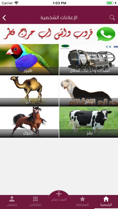 حراج قطر للحلال screenshot 4
