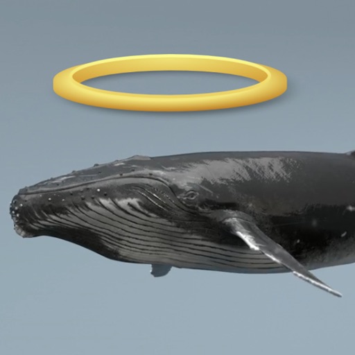 Angel Whale Icon