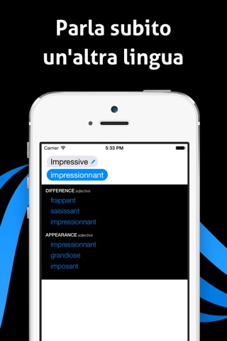 iTranslate Voice screenshot 2
