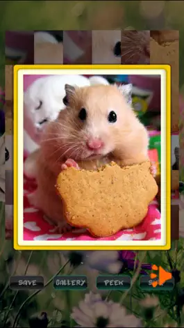 Game screenshot Hamster Puzzles apk