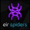 The eir Spiders Awards are an annual event that acknowledges on line efforts of exemplary performance that exceed industry practices and are recognised as the benchmark for distinction and merit in web-based business strategies that excel in the efficient and innovative use of technology