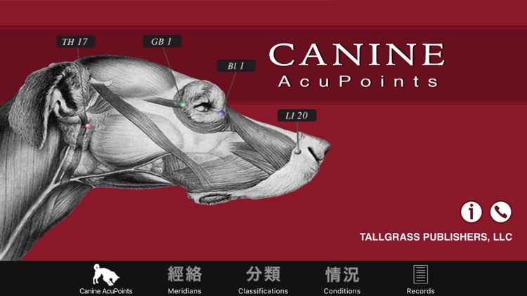 Canine Acupoints