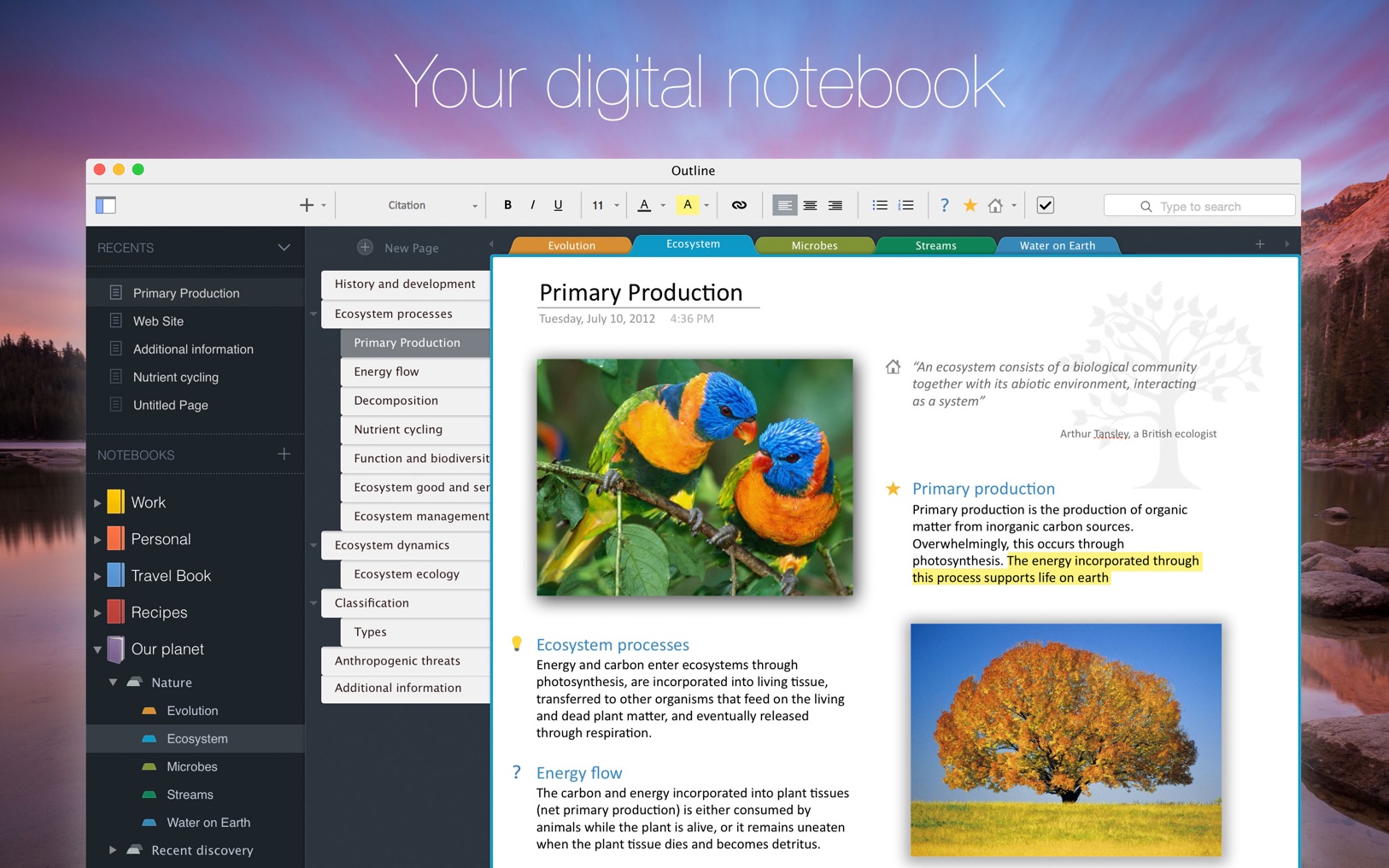 Examples of onenote notebooks
