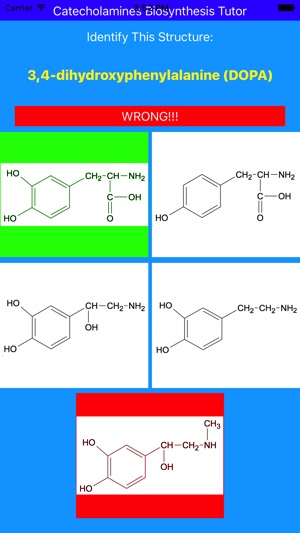 Catecholamines Synthesis Tutor(圖2)-速報App