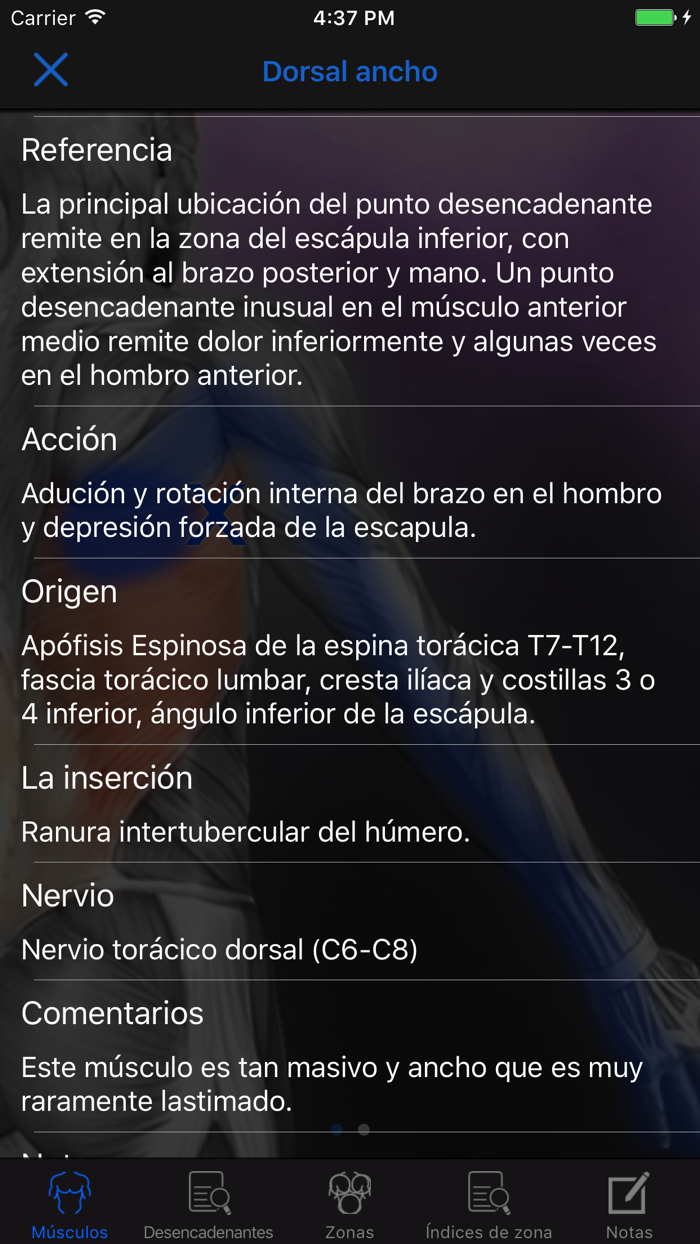 Puntos Desencadenantes Musculares