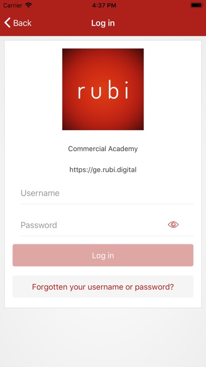 Rubi: Performance Intelligence