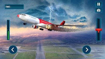 Tourist Airplane Transport Sim screenshot 4