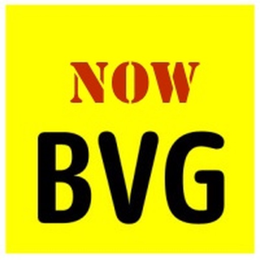 BVG Info