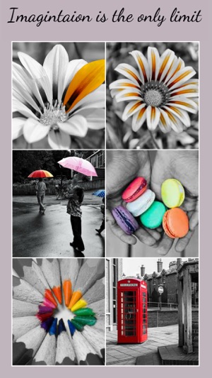 Color Pop Effects & Photo Editor(圖3)-速報App