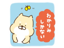 毎日使える芝犬くんです。