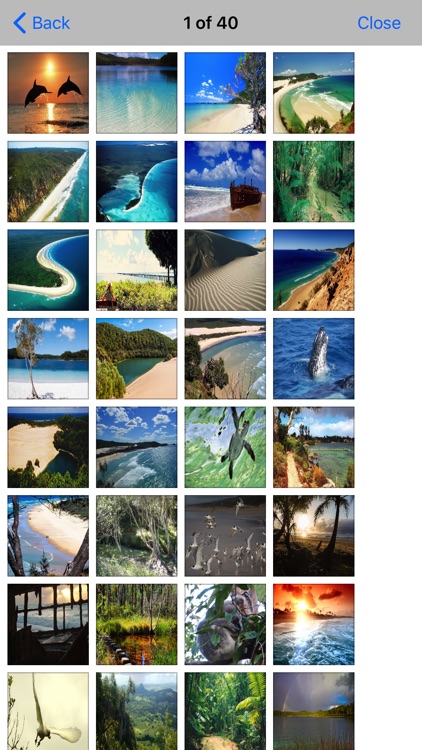 Fraser Island Travel - Guide screenshot-4