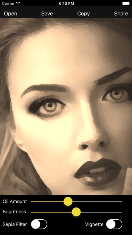 Oil Paint - Photo to Art Maker screenshot-3