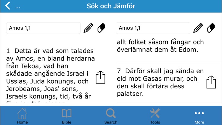 The Bible in Swedish (Bibeln på Svenska) screenshot-4