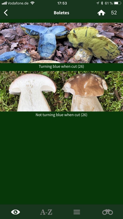 Mushroom Guide British Isles