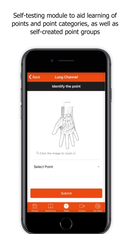 A Manual of Acupuncture v2 screenshot-3