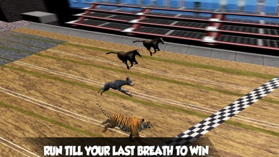 Crazy Real Dog Racing screenshot 3