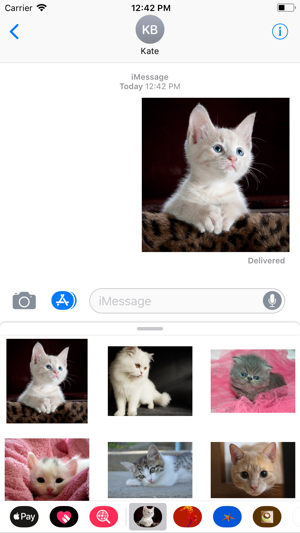 Kitten Sticker Pack(圖4)-速報App