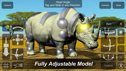 Rhinoceros Mannequin screenshot 2