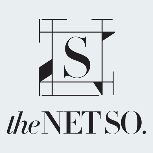 TheNETSO icon