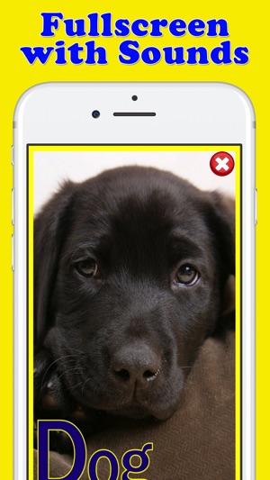 Play & Learn Animal Flashcards(圖2)-速報App