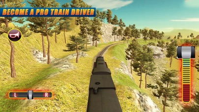 Train Driving: Mountain Touri screenshot 2