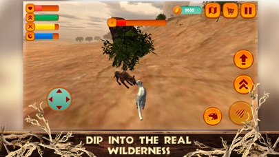 Meerkat Simulator: Animal Life screenshot 3